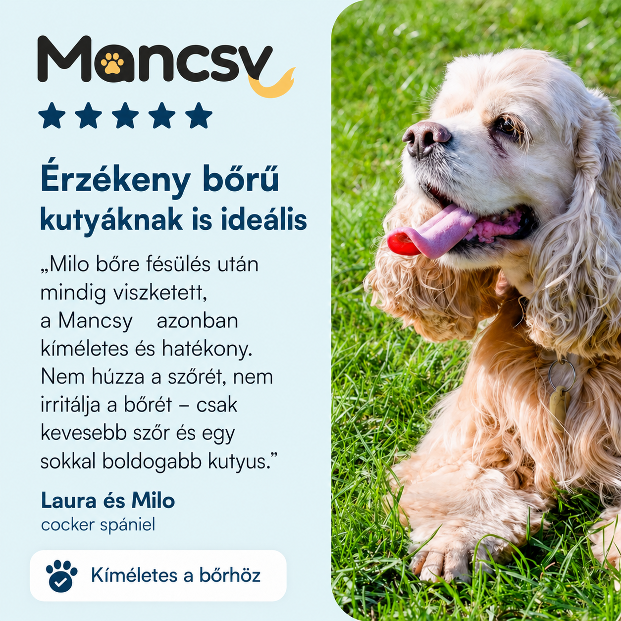 Mancsy™ - Szőrmester